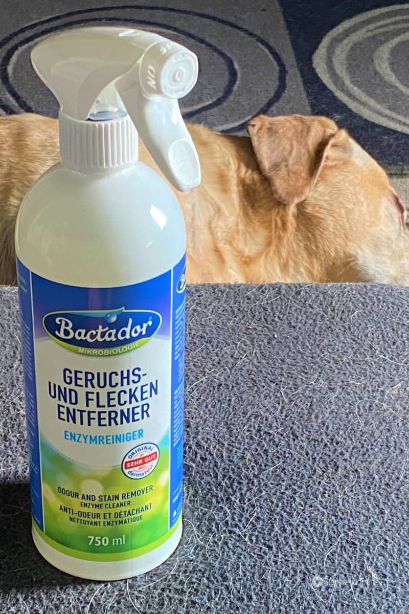 Bactador Enzymreiniger Geruchsentferner gegen Tiergeruch im Haushalt